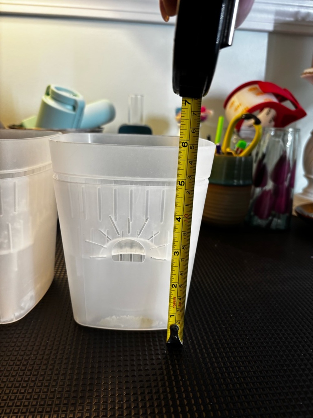 Set of 5” Naked Root Planters - Clear/Translucent - Picture 6 of 7